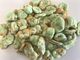 Wasabi revestido vitaminas salgadas Roasted do alimento das favas contidas para crianças