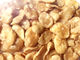 As nutrições completas fritadas dietéticos dos alimentos de petisco das favas esfriam/lugares secas Storaging