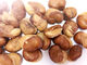 A nutrição secada saudável das favas Roasted disponível personalizado tempero