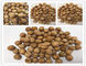 As vitaminas altas roasted puras dos grãos-de-bico contêm os alimentos de petisco HALAL