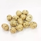 Kosher/Halal/FAD/BRC certificou a alga revestiu os amendoins Roasted crocantes e petiscos friáveis da porca