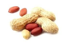 Matéria prima segura brotada orgânica do sabor friável Nuts dos amendoins livre da fritura