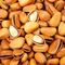 NÃO - gosto friável Nuts brotado cru de GMO, pinhões crus com certificação de BRC