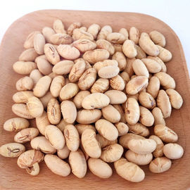 Kosher Halal Certificado Revestido Torrado Específico Amarelo Edamame Snacks de Feijão de Soja ISO aprovado