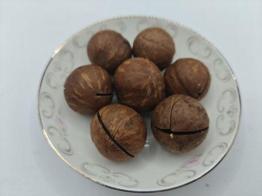 Nozes de macadâmia
