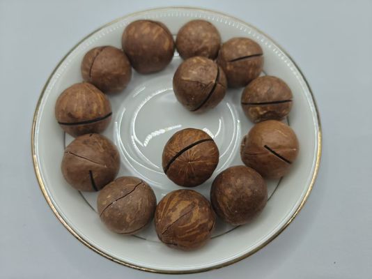 Nozes de macadâmia