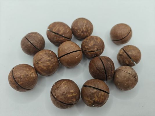 Nozes de macadâmia