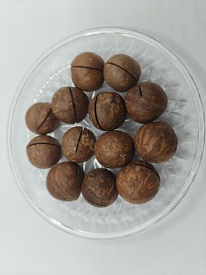 Deliciosas nozes de macadâmia naturais em saco plástico