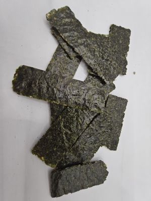 Snacks Crocantes de Alga Marinha Lanche Delicioso e Saudável
