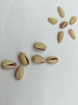 Satisfazer os desejos Pistache com sal assado em casca Amostra grátis