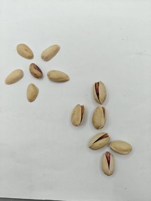 Satisfazer os desejos Pistache com sal assado em casca Amostra grátis