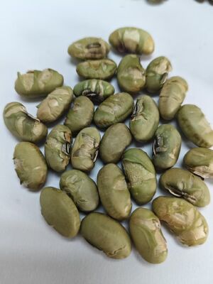 Aditivo alimentar NÃO Snacks de feijão de soja Marca privada Estilo aceitável Fornecido a partir de ingredientes com textura crocante e sabor natural