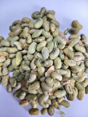 Data de Validade 12 Meses Snacks de Soja Estilo Assado Cozimento Crocante Opções de Lanche Nutritivo Adequado para Compra a Granel