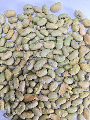Data de Validade 12 Meses Snacks de Soja Estilo Assado Cozimento Crocante Opções de Lanche Nutritivo Adequado para Compra a Granel
