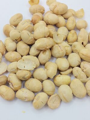 Farinhas de soja torradas crocantes sem casca, com alto teor de proteínas, ligeiramente salgadas