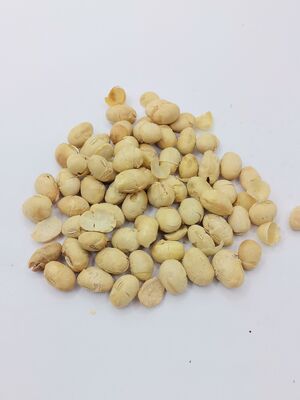 Farinhas de soja torradas crocantes sem casca, com alto teor de proteínas, ligeiramente salgadas