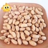 Kosher Halal Certificado Revestido Torrado Específico Amarelo Edamame Snacks de Feijão de Soja ISO aprovado