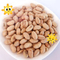 O OEM saudável natural Roasted a soja salgada Bean Snacks Handpicked Vegan Beans