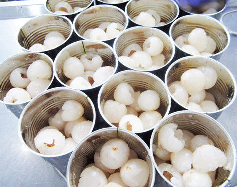 Os cuidados médicos nenhum açúcar adicionaram o fruto enlatado nenhum pigmento baixo - vida útil longa da caloria