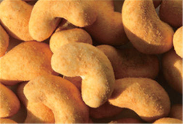 O camarão revestiu petiscos da porca de caju, ponto baixo - porcas de caju do assado da caloria nenhuma cor de alimento