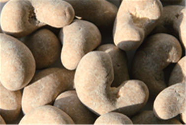 O ingrediente cru seguro do petisco saudável lúcido das porcas de caju de Ganoderma livra da fritura