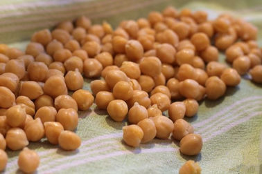 Petisco Roasted dos grãos-de-bico da pimenta preta, nutrições altas salgadas secadas dos grãos-de-bico