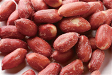 Do núcleo revestido vermelho grande Nuts dos amendoins dos doces da cerveja vário gosto Certifiaction HALAL