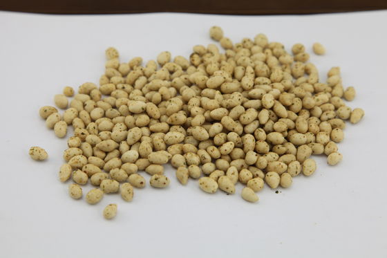 Sementes de girassol certificadas kosher petisco, sabor delicioso Roasted dos núcleos do girassol