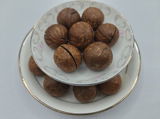 Deliciosas nozes de macadâmia naturais em saco plástico