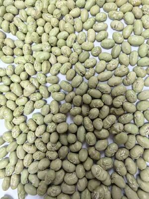 Snacks Crocantes Orgânicos de Soja Assada, Densos em Nutrientes, Lanche Proteico Ideal para Fabricantes de Alimentos e Produtos Orientados à Saúde