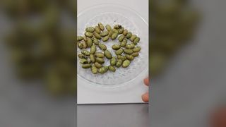 favas verdes